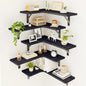 Uniquely Designed Rustic Wood Corner Shelves