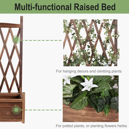 Raised Wooden Garden Bed with Trellis