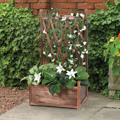 Raised Wooden Garden Bed with Trellis
