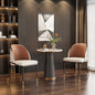 Modern Upholstered Dining Room Chairs, Set of 2