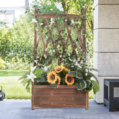Raised Wooden Garden Bed with Trellis