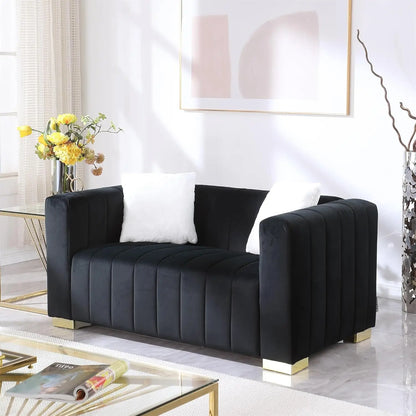Modern Premium Velvet Loveseat with Pillows