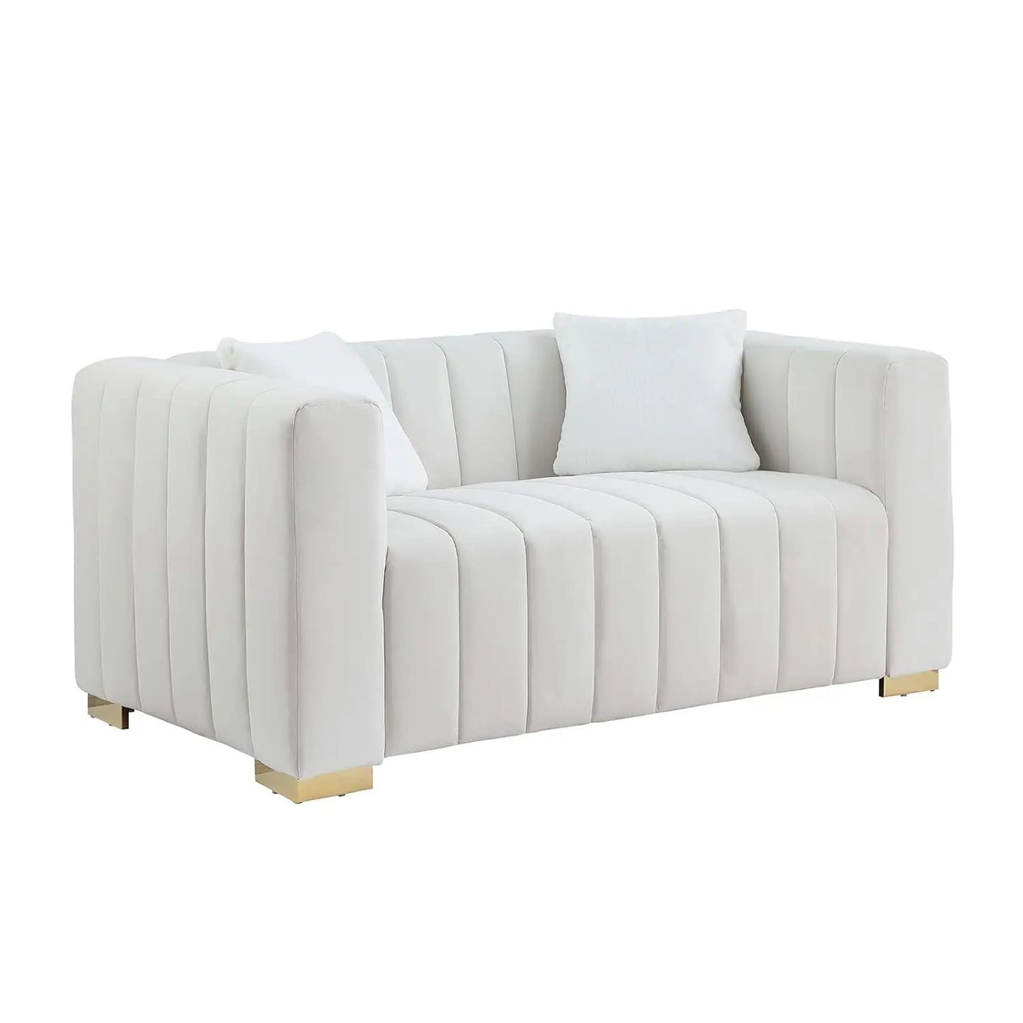 Modern Premium Velvet Loveseat with Pillows