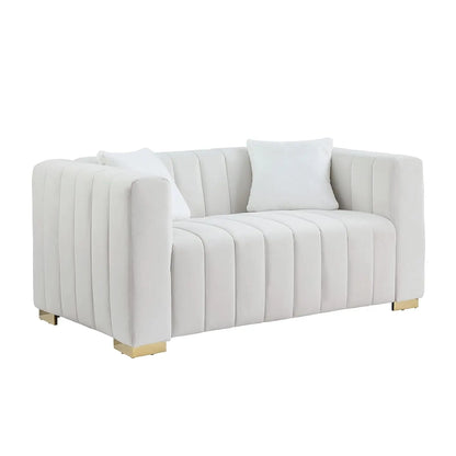 Modern Premium Velvet Loveseat with Pillows