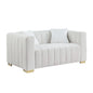 Modern Premium Velvet Loveseat with Pillows